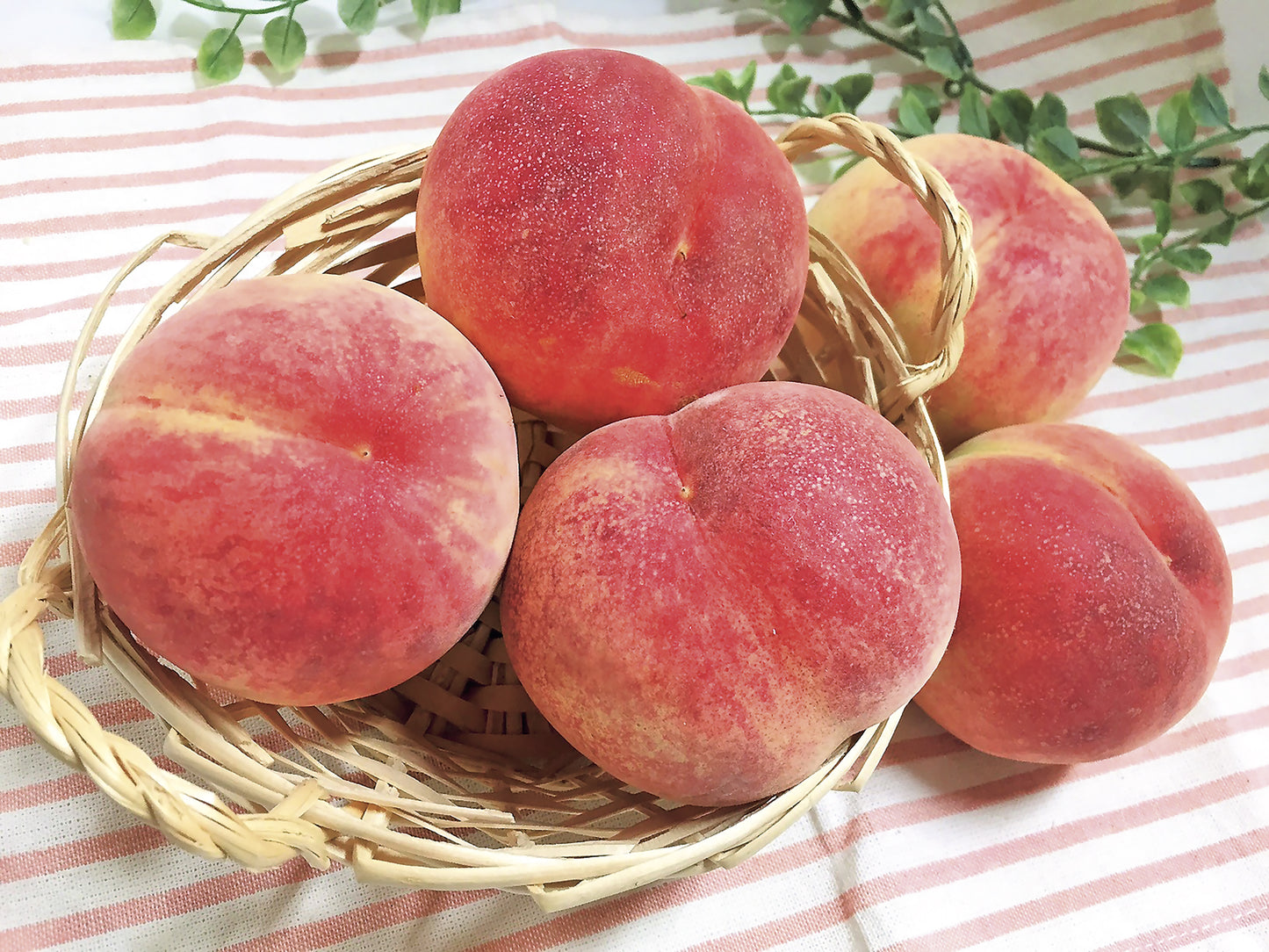 「妥協しない、香りと味」 旬の桃【送料込】2025夏ギフト C-01