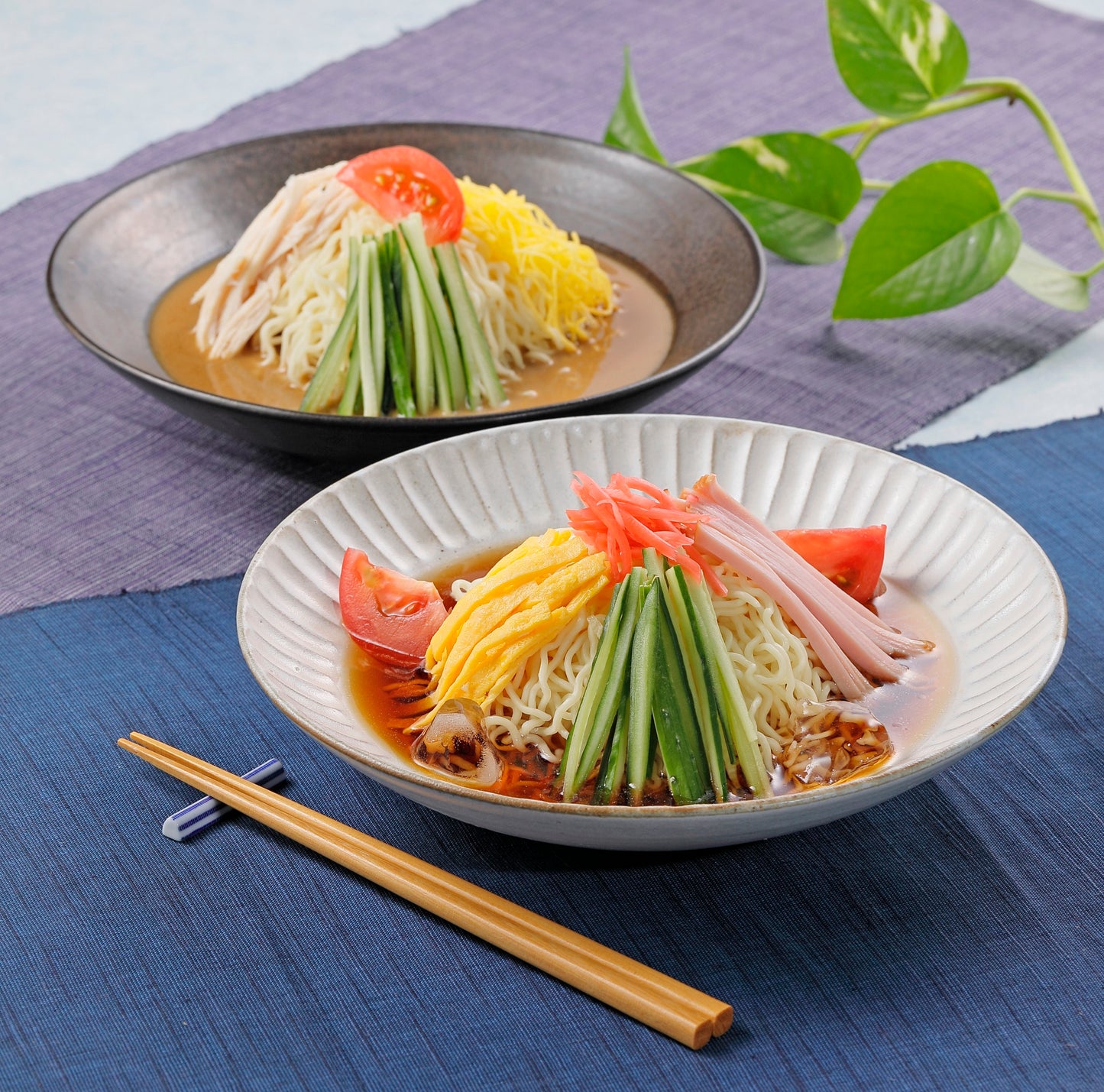 喜多方ラーメン夏の10食お得用セット【送料込】2025夏ギフト I-03