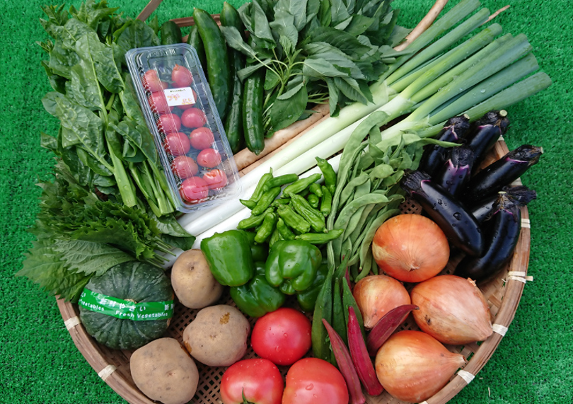 玉川村産野菜セット【送料込】7A-001