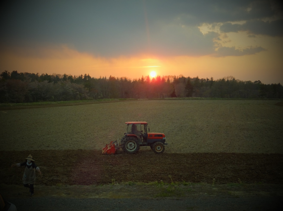 ミルキークイーン精米5kg【送料込】7A-044