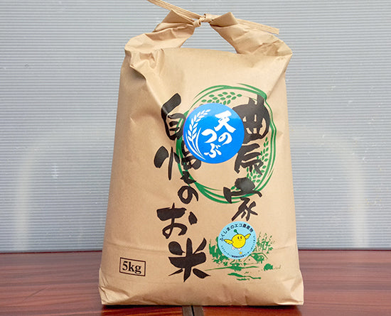 会津産 精米天のつぶ 5Kg【送料込】7A-050