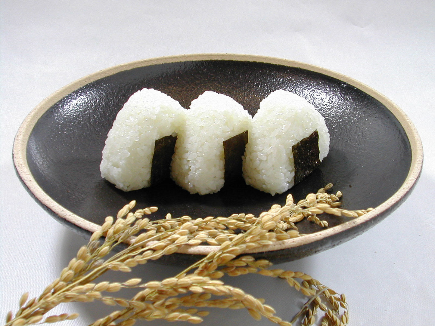 自然栽培米 会津白虎米 5kg【送料込】7A-037