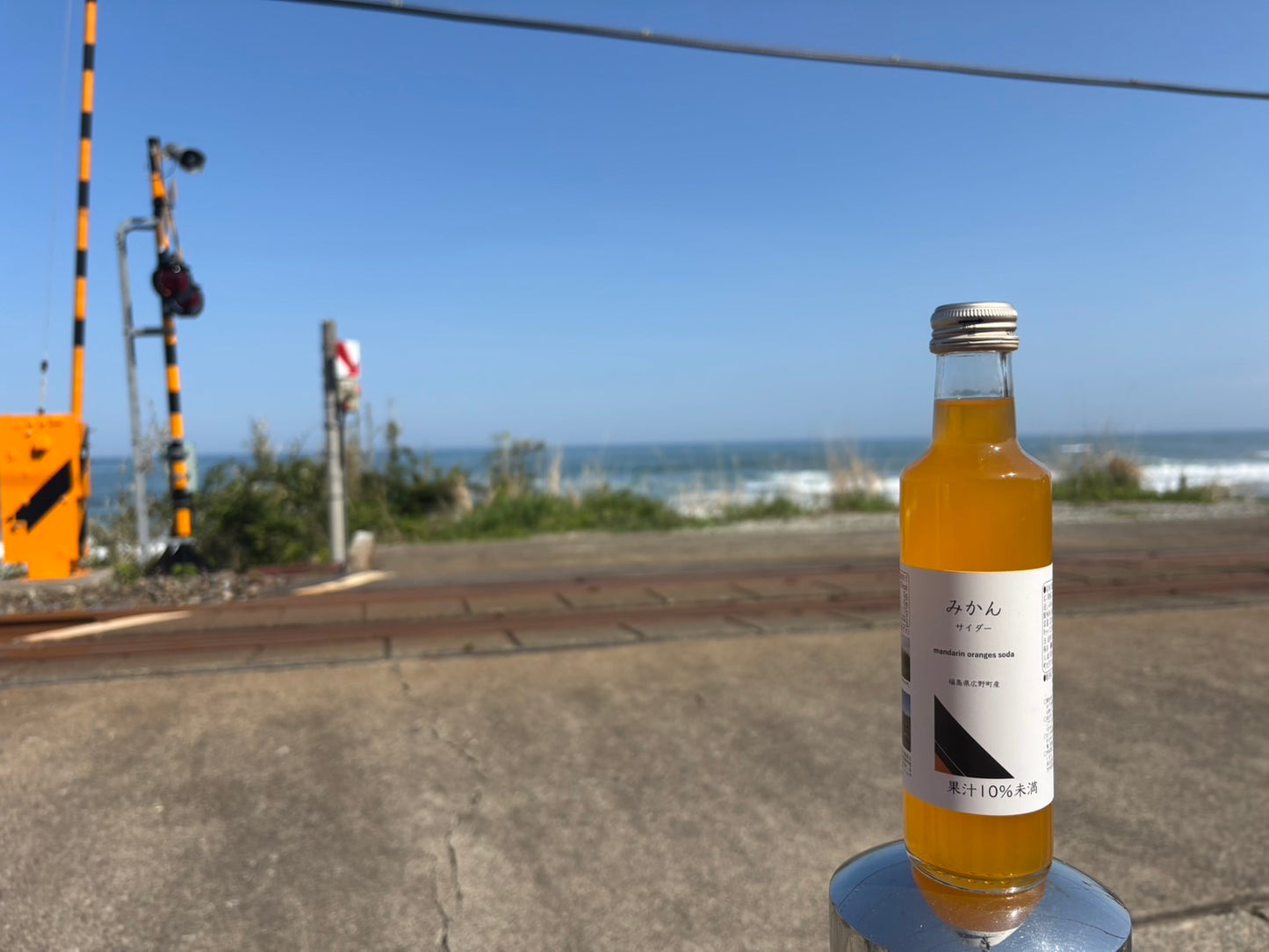 福島県小名浜海星高校商業科・みかんサイダー【送料込】:掲載期間 令和7年10月31日まで