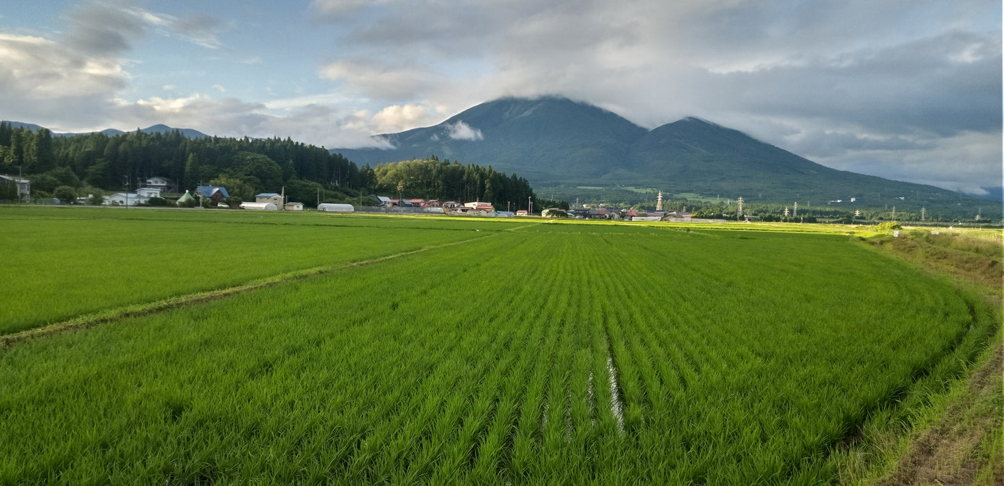 会津産 精米里山のつぶ【送料込】