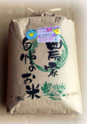 会津産 精米コシヒカリ 5Kg【送料込】7A-049