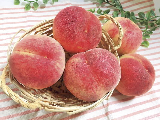 「妥協しない、香りと味」　旬の桃【送料込】2025夏ギフト C-01