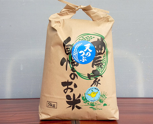 会津産 精米天のつぶ　5Kg【送料込】7A-050