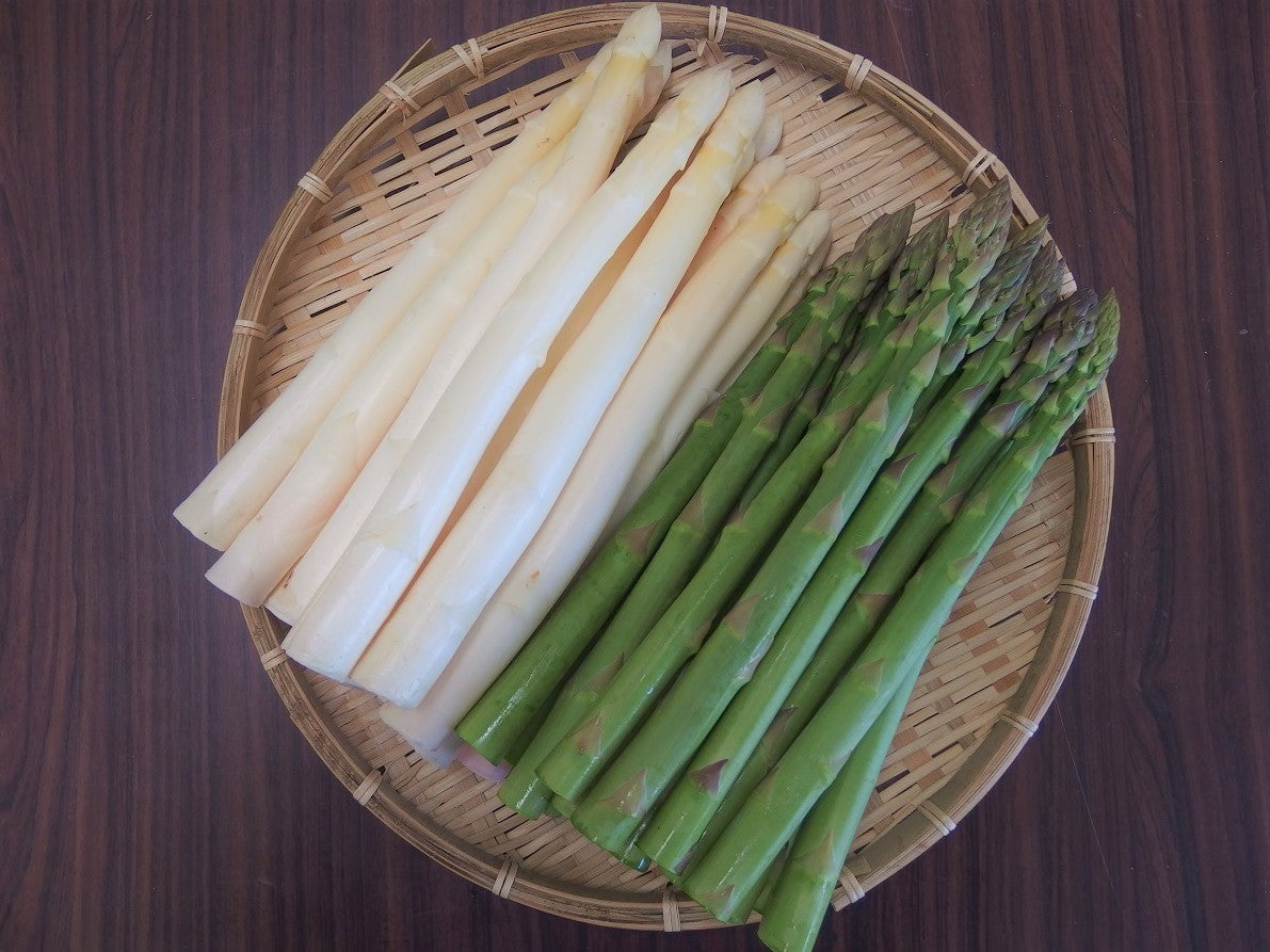 【出荷時期：４月中旬〜5月下旬】会津産生鮮アスパラガス２色食べ比べセット【送料込】A-002